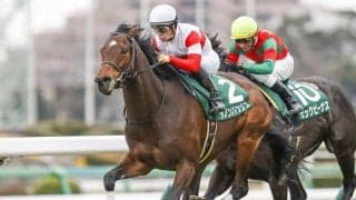 【本日の注目ポイント】中山で京成杯AH、中京でセントウルS
