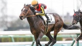 【京成杯AH予想】サマーマイルシリーズ最終戦!!斤量有利な3歳馬に注目/JRAレース展望
