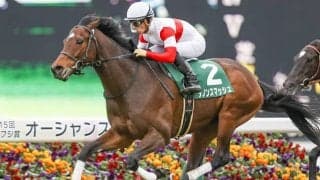 【セントウルS・馬体重】ダノンスマッシュは470kg(-6)、ミスターメロディは494kg(-10)