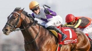 【セントライト記念展望】東の菊花賞トライアル、注目はあの馬