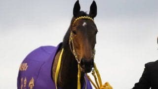 ブエナビスタ・テイエムオペラオーのメモリアル競走を開催　3日間開催の最終日は「JRAアニバーサリー」