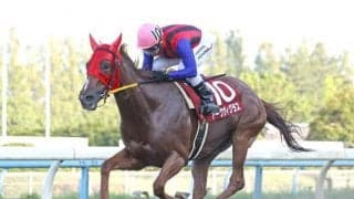 【秋桜賞】北海道のアークヴィグラスは2枠2番、大井のサラーブは7枠8番