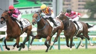 【新馬/中山5R】ダイワメジャー産駒 アヴァノスが差し切り！