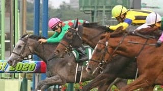 【京成杯AH】トロワゼトワルが連覇！重賞2勝目