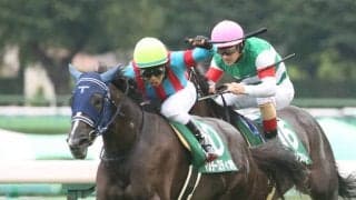 【紫苑S】マルターズディオサが抜け出す！重賞2勝目