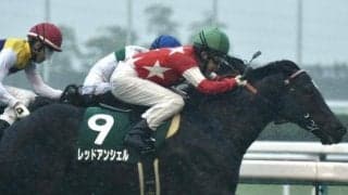 【次走】レッドアンシェルはスプリンターズSへ　鞍上はM.デムーロ騎手
