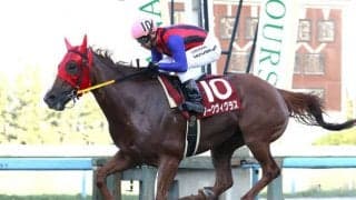 【門別競馬情報】遠征馬が今季早くも4勝！9月後半も各地で大活躍なるか。今夜メイン12Rはスタリオンシリーズ「エスケンデレヤ賞」/地方競馬情報