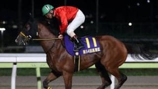 【戸塚記念予想】好メンバー揃いで激戦必至の3歳馬限定重賞!!/NARレース展望