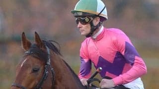 【海外競馬】P.スマレン元騎手が死去、43歳　アイルランドで9度のリーディング獲得