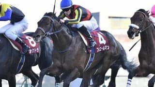 【オールカマー想定】フィエールマン、カレンブーケドール、ミッキースワローなど中長距離巧者集う