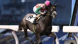 2.0秒大差でナジャが無傷2連勝！ 9馬身差Vのデビュー戦に続き圧勝/シャイニングトレジャー賞