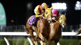 【川崎・戸塚記念結果】ティーズダンクが差し切り、南関重賞初制覇