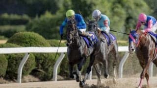 【浦和・オーバルスプリント】JRA出走予定馬