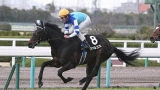 過去データを吟味。セントライト記念で高配当を呼ぶ３頭が見つかった