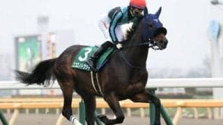 セントライト記念は夏の上がり馬２頭で決まり。血統も中山向きでバッチリだ