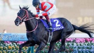 無敗の2冠馬始動 GII神戸新聞杯＆オールカマー/今週の競馬界の見どころ