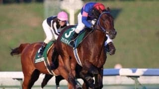 【盛岡・ジュニアグランプリ結果】マツリダスティール快勝、4年ぶりの地元馬V