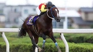 【浦和・テレ玉杯オーバルスプリント】ノブワイルド3連覇はラクじゃない!? サヴィ、ベストマッチョに注目の理由は？