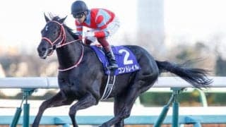 【神戸新聞杯見どころ】無敗の二冠馬コントレイルが始動