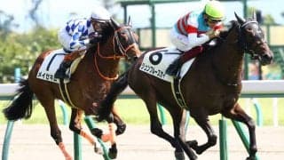 【新馬/中京5R】ジュンブルースカイが人気に応える