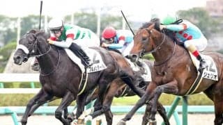 【新馬/中山5R】モーリス産駒 ブルメンダールが接戦を制する