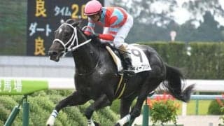 【神戸新聞杯展望】菊花賞の最重要ステップレース、注目はあの馬