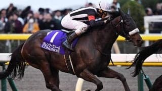 【オールカマー 出走馬決定順】フィエールマン、カレンブーケドールなどフルゲート17頭に登録10頭