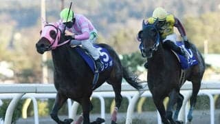 【神戸新聞杯 出走馬決定順】無傷三冠目指すコントレイルなど、フルゲート18頭に登録18頭