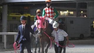 【ダービーグランプリ】アクアリーブル、ティーズダンク、ヴァケーションなど他地区選定馬が発表