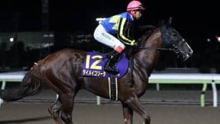 【シリウスS想定】ユニコーンS覇者カフェファラオ、JDD2着ダイメイコリーダなど強豪3歳馬が参戦予定
