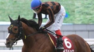 【次走】宝塚記念3着モズベッロは天皇賞・秋へ