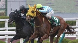 【日本テレビ盃】JRA出走予定馬