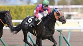 神戸新聞杯はコントレイルが盤石。それでも押さえるべき２頭がいる