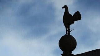 トッテナム、EFL3回戦の不戦勝が決定 対戦相手にコロナ陽性者続出