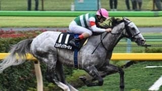 【金沢・白山大賞典枠順確定】エルデュクラージュは1枠1番、マスターフェンサーは8枠11番