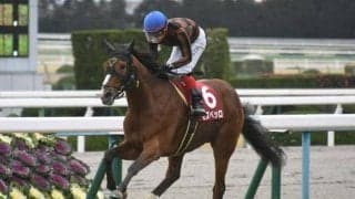 【次走】モズベッロが外傷で天皇賞・秋を回避　年内出走も困難