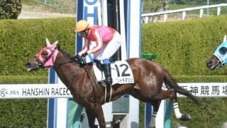 【本日の注目ポイント】中山でダートOPながつきS、2歳OPカンナSなど　中京では有力2歳馬出走