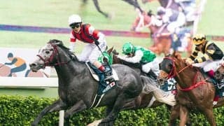 【次走】ウインブライトが天皇賞・秋で復帰へ、昨年香港G1・2勝