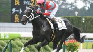 【神戸新聞杯】直近1年で複勝率47.4％！「大久保龍志厩舎×和田竜二騎手」のディープボンド