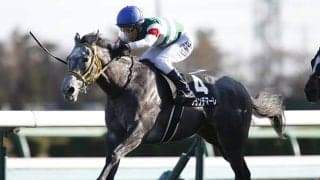 【神戸新聞杯予想】 打倒コントレイルを目論む馬たちを馬体から斬る！ パドックのスペシャリストはどう判断した？/JRAレース展望