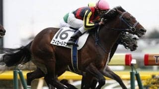 【次走】フィエールマンは天皇賞・秋→有馬記念を検討、熱発でオールカマー回避