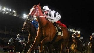 【豪州競馬】D.レーン騎手騎乗のピッピーがG1・モイアS優勝/海外競馬レース結果