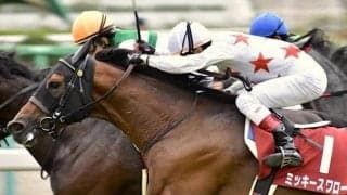 【オールカマー前日オッズ】ミッキースワローとカレンブーケドールが3.4倍で1番人気