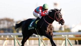 【神戸新聞杯前日オッズ】コントレイルが単勝1.1倍の一本被り