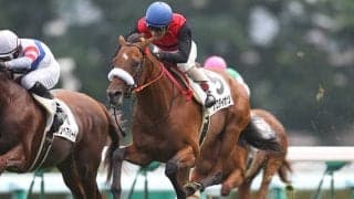メジロダイボサツ産駒唯一の現役馬が初勝利、中京1R障害未勝利でストレートパンチがV