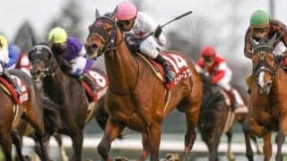 【オールカマー・馬体重】ミッキースワローは474kg(-4)、カレンブーケドールは472kg(+6)