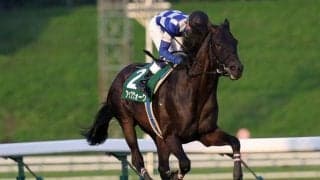 【OROカップ予想】JRAからの移籍馬優位、どの馬に軍配が上がるかに注目!!/NARレース展望