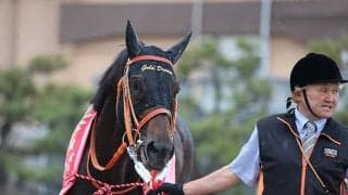 【マイルCS南部杯】インティ、ゴールドドリーム、サンライズノヴァなどJRA出走予定馬が発表