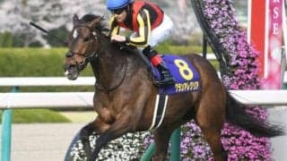 国内はGIスプリンターズS、海外は仏G1凱旋門賞に注目/今週の競馬界の見どころ