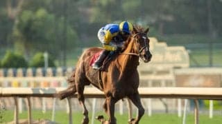 大井とサンタアニタ競馬場の交流開始25周年　記念レースはキューピッズクロウズが圧勝！